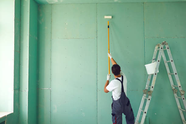 Best Dehumidification Services  in Conrad, MT
