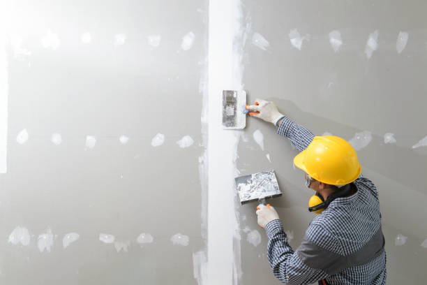 Best Mold Remediation for Healthcare Facilities  in Conrad, MT