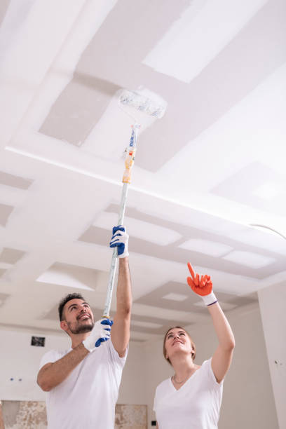 Best Water Damage & Mold Remediation  in Conrad, MT
