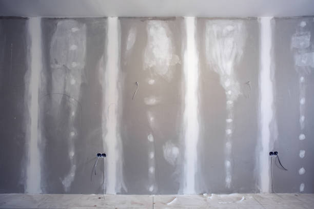 Best Forensic Mold Investigation  in Conrad, MT