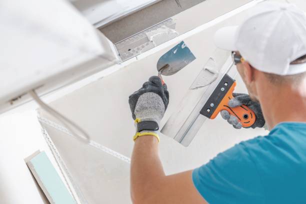 Best Biohazard Mold Removal  in Conrad, MT